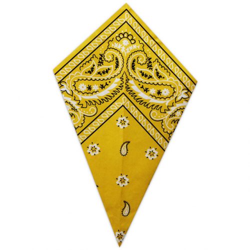 Gold Paisley Bandana - Paper Cone