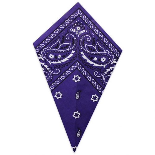 Purple Paisley Bandana - Paper Cone