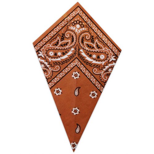 Orange Paisley Bandana - Paper Cone