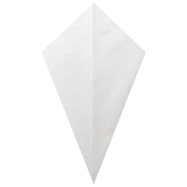 All White - Paper Cone