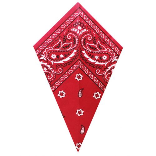 Red Paisley Bandana - Paper Cone