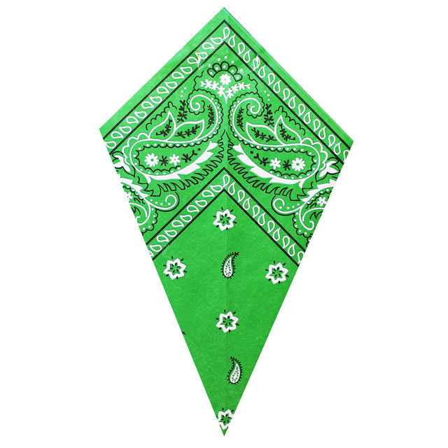 Green Paisley Bandana - Paper Cone