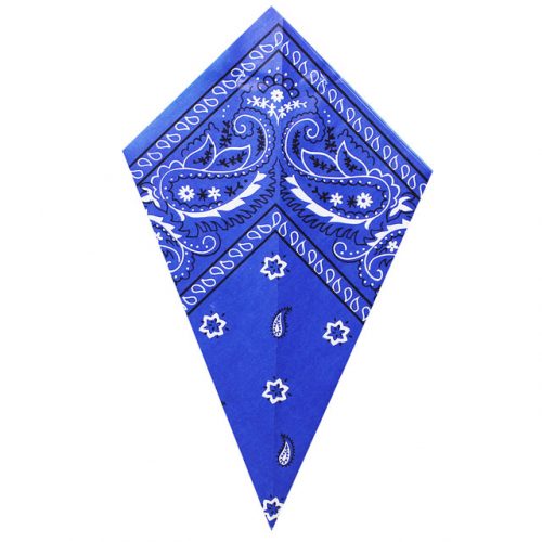 Blue Paisley Bandana - Paper Cone